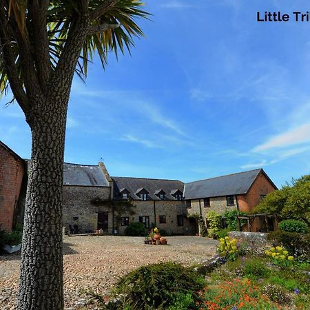Trill Cottage Musbury Εξωτερικό φωτογραφία