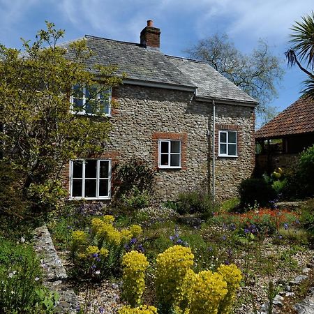 Trill Cottage Musbury Εξωτερικό φωτογραφία