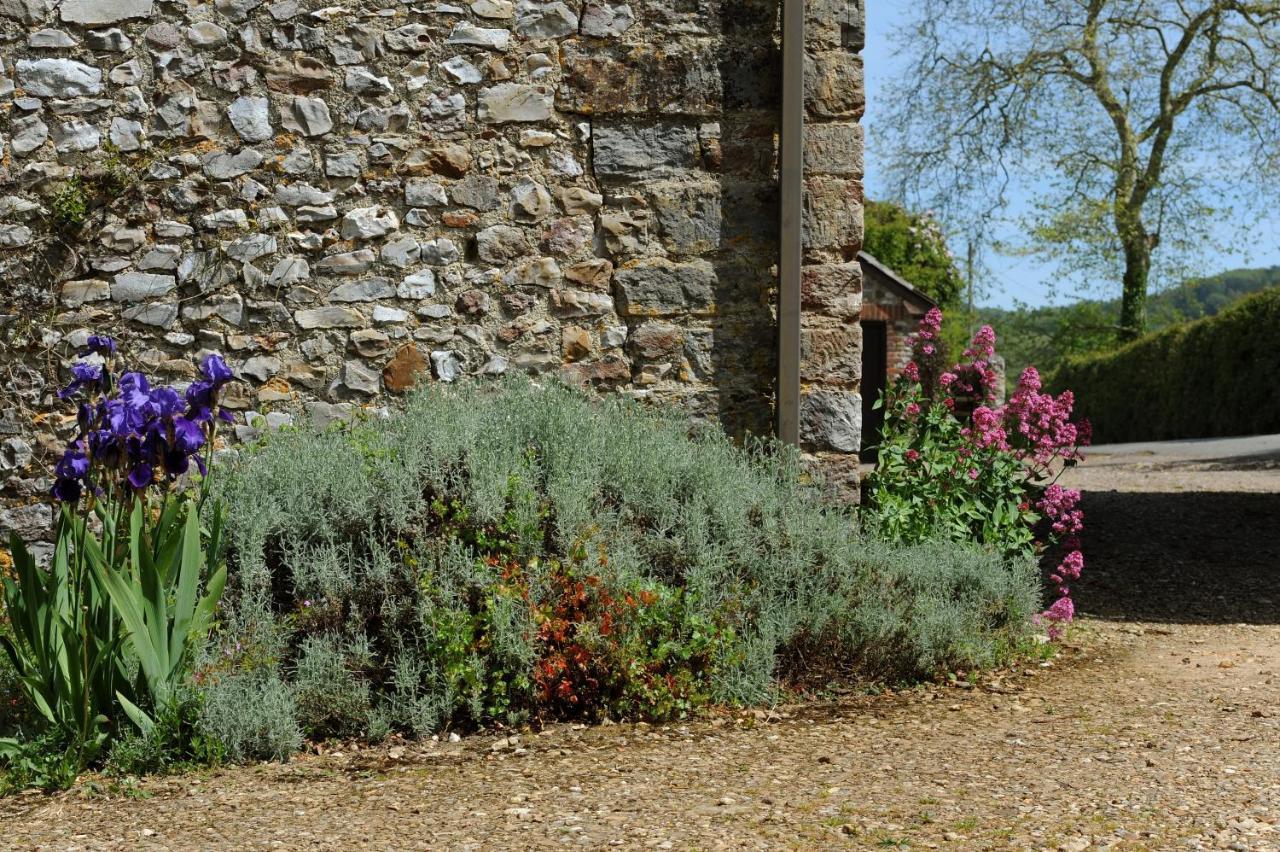 Trill Cottage Musbury Εξωτερικό φωτογραφία