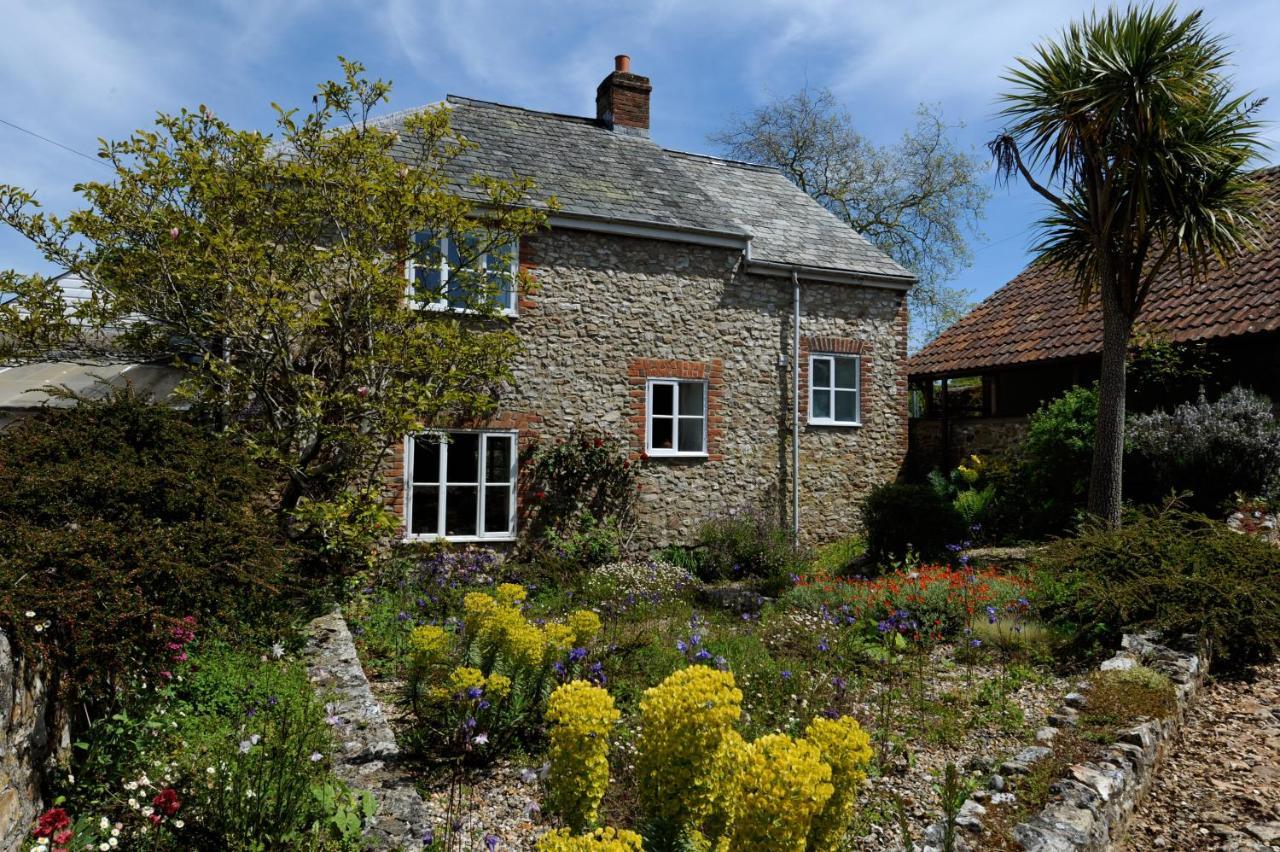 Trill Cottage Musbury Εξωτερικό φωτογραφία